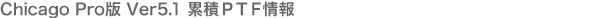 PANEL-WORKER Chicago Pro�� Ver5.1 �ݐ�PTF �_�E�����[�h