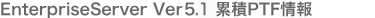 Enterprise Server Ver5.1 �ݐ�PTF �X�V���