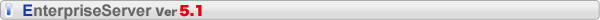 EnterpriseServer Ver5.1 PTF���