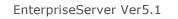 EnterpriseServer Ver5.1