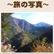 YȎR̍L鐡
