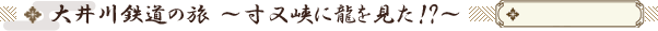 S̗ ` ɗ!? `