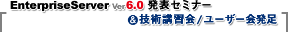 EnterpriseServer Ver6.0 ���\�Z�~�i�[���Z�p�u�K��^���[�U�[��� ����Z�~�i�[